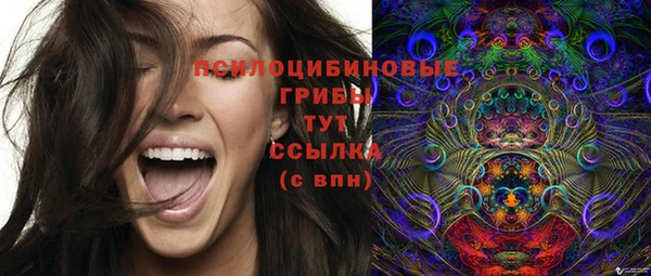 мяу мяу мука Алексеевка