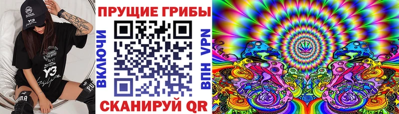 Галлюциногенные грибы Cubensis  Пласт 