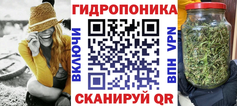 Бошки Шишки SATIVA & INDICA  магазин  наркотиков  Пласт 